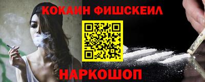 амф Камышлов