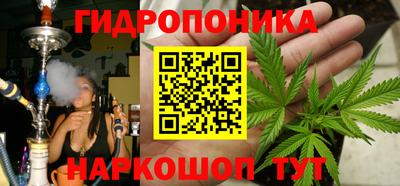 амф Камышлов
