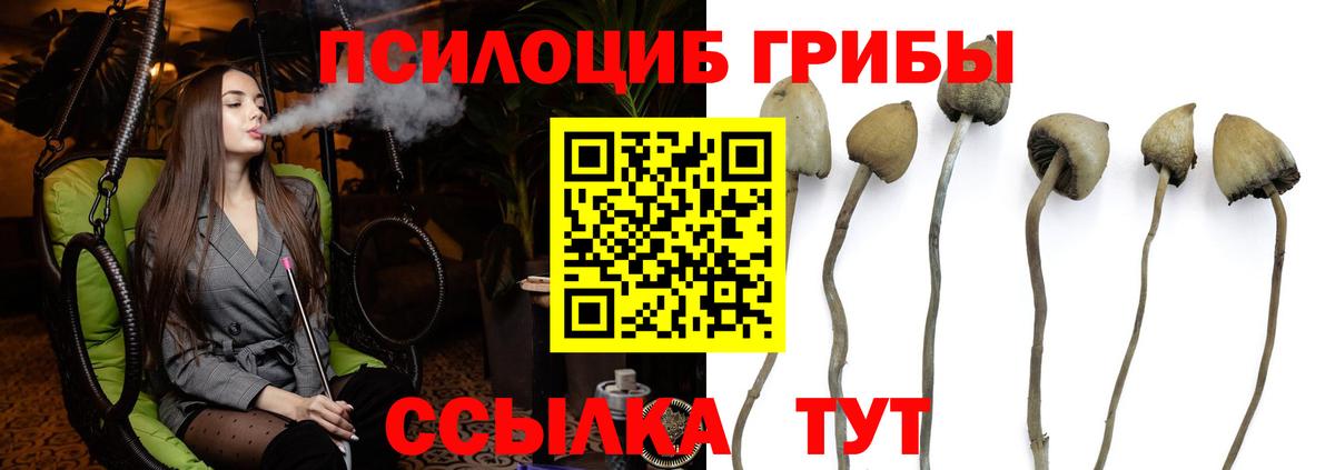 Псилоцибиновые грибы мухоморы  Галлюциногенные грибы Magic Shrooms  Вход с VPN  Гатчина 