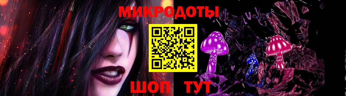 Галлюциногенные грибы Psilocybine cubensis Гатчина